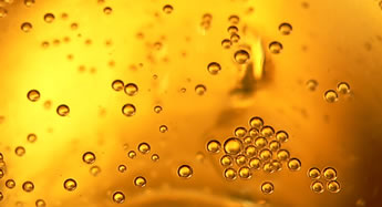 Bebidas Alcohólicas